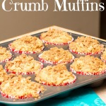 Permalink to: Skinnified Sunday: Apple Cinnamon Crumb Muffins