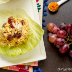Permalink to: Curried Chicken Salad {without mayo}