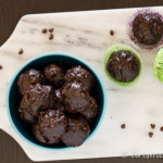 Permalink to: Almond Butter Chocolate Chip Mocha Bites {The Recipe ReDux}
